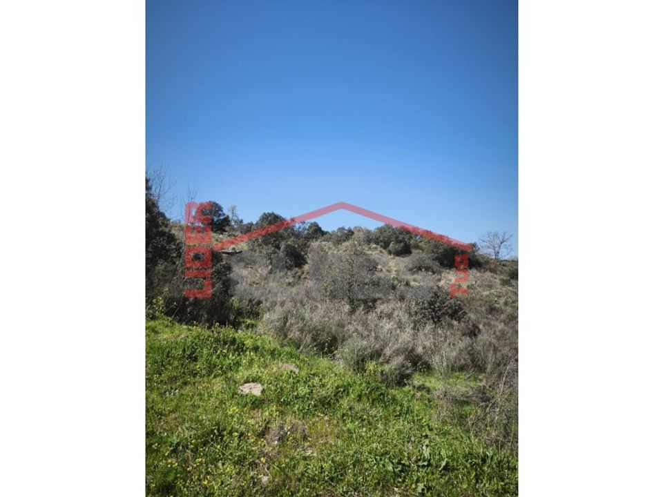 Helårsgrund i Mirandela, Braganca - foto 3