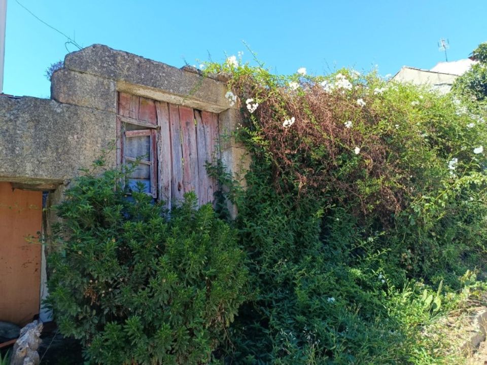 Villa i Sao Pedro do Sul, Viseu - foto 3