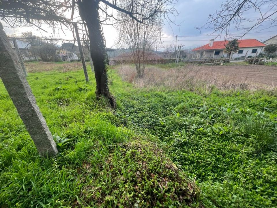 Helårsgrund i Ponte da Barca, Viana do Castelo - foto 5