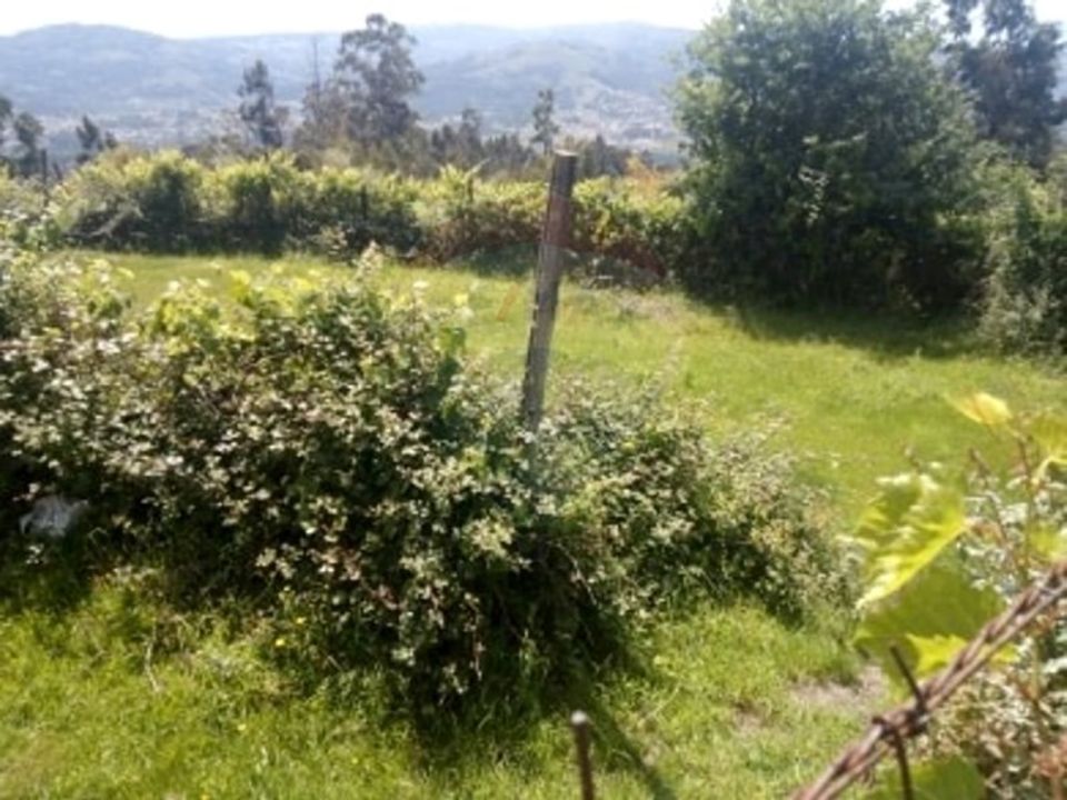 Helårsgrund i Arcos de Valdevez, Viana do Castelo - foto 2