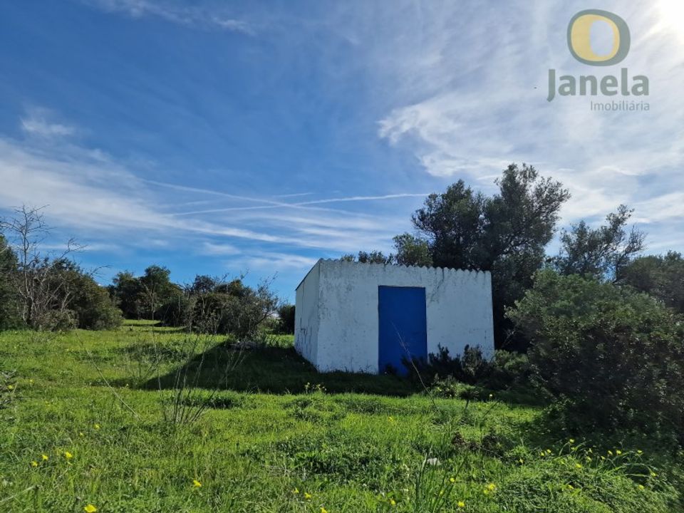 Farm i Conceicao e Estoi, Faro - foto 5