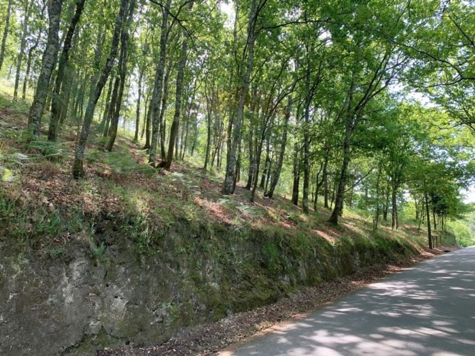Helårsgrund i Arcos de Valdevez, Viana do Castelo - foto 1