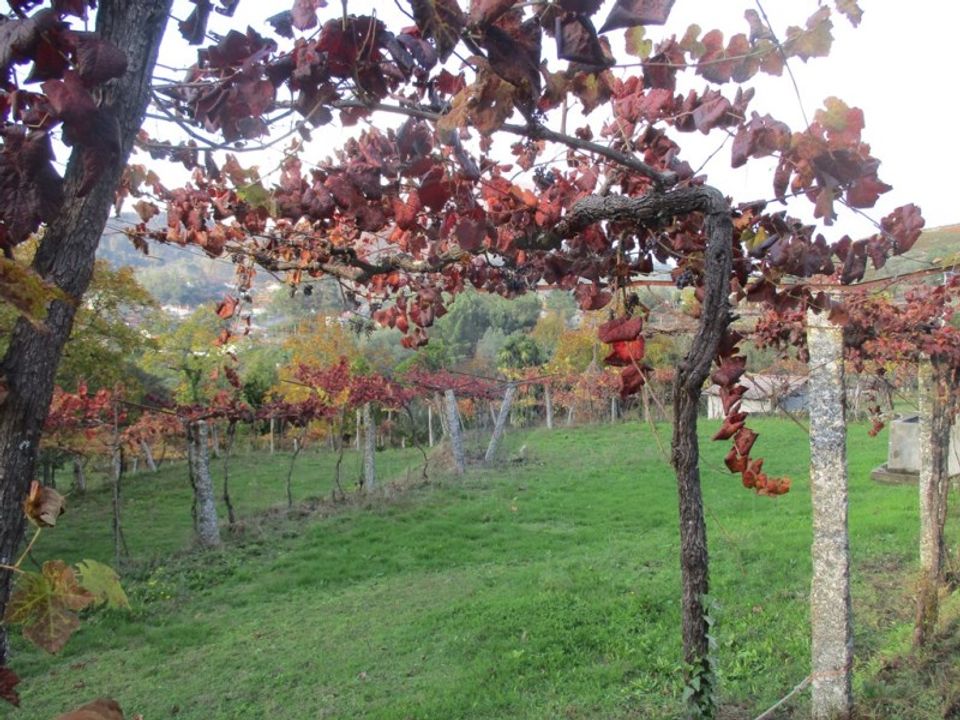 Helårsgrund i Arcos de Valdevez, Viana do Castelo - foto 1