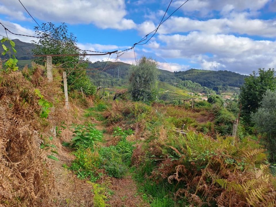 Helårsgrund i Arcos de Valdevez, Viana do Castelo - foto 2