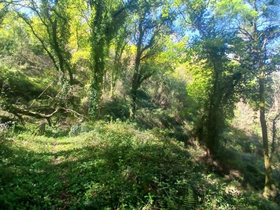 Helårsgrund i Arcos de Valdevez, Viana do Castelo - foto 1