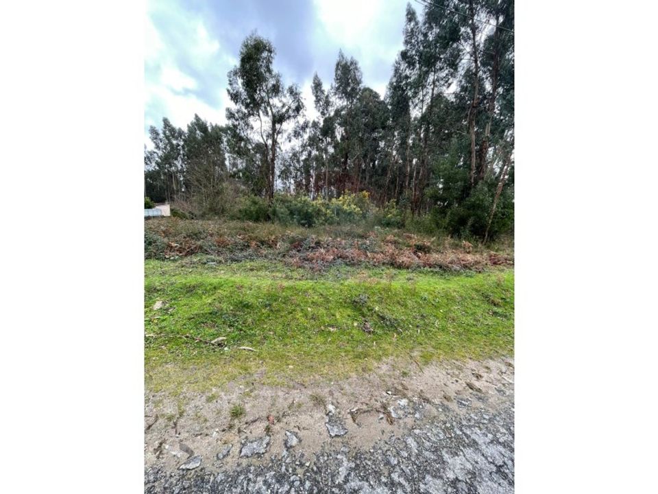 Helårsgrund i Arcos de Valdevez, Viana do Castelo - foto 3