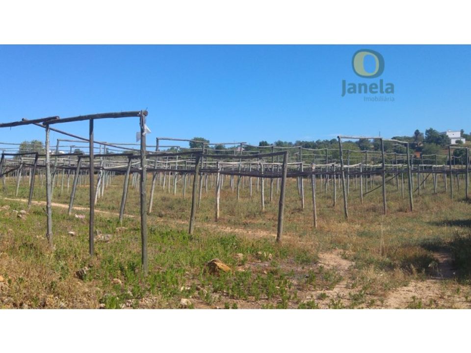 Landhuis in Olhao, Faro - foto 2