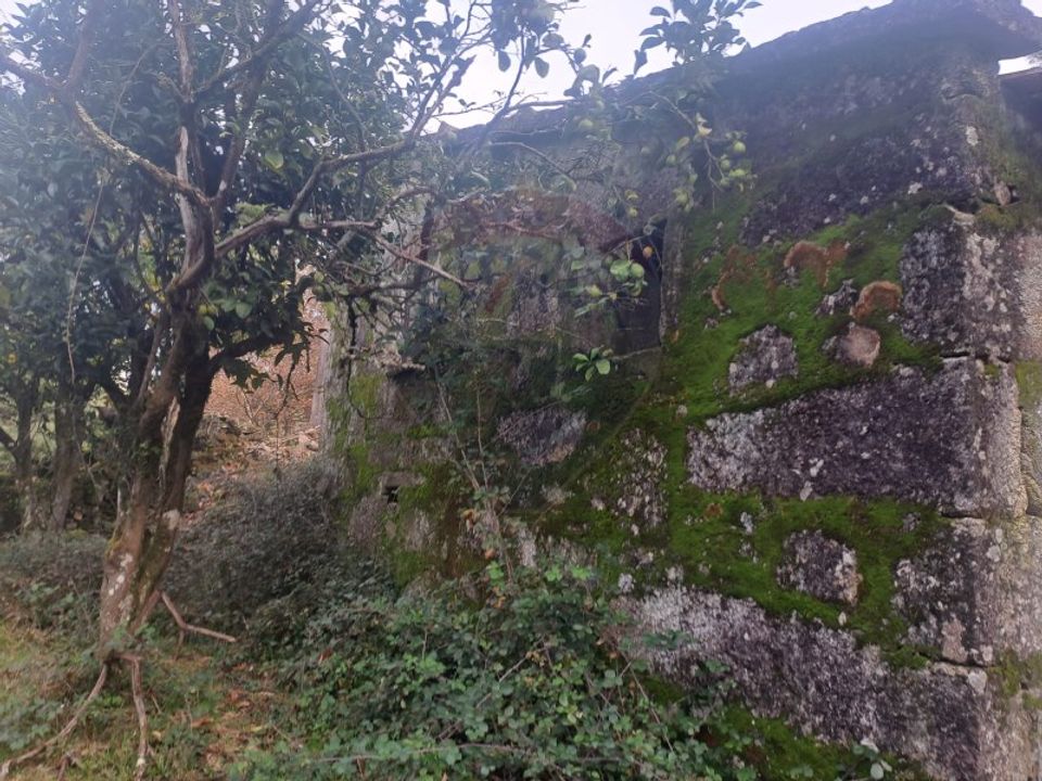 Landejendom i Arcos de Valdevez, Viana do Castelo - foto 5