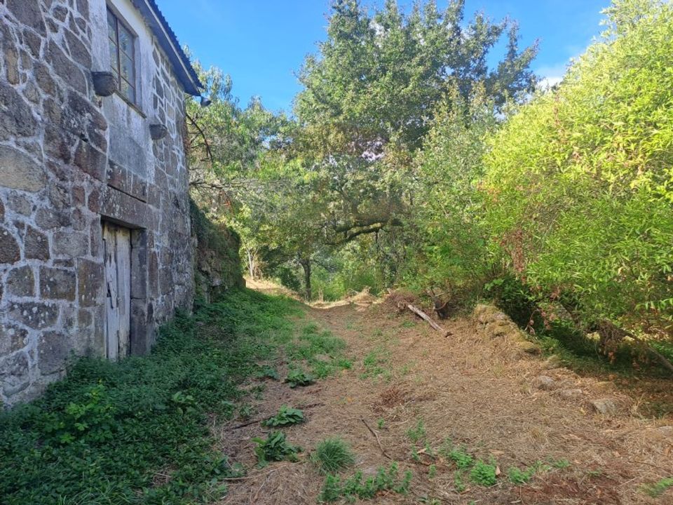 Farm i Arcos de Valdevez, Viana do Castelo - foto 5