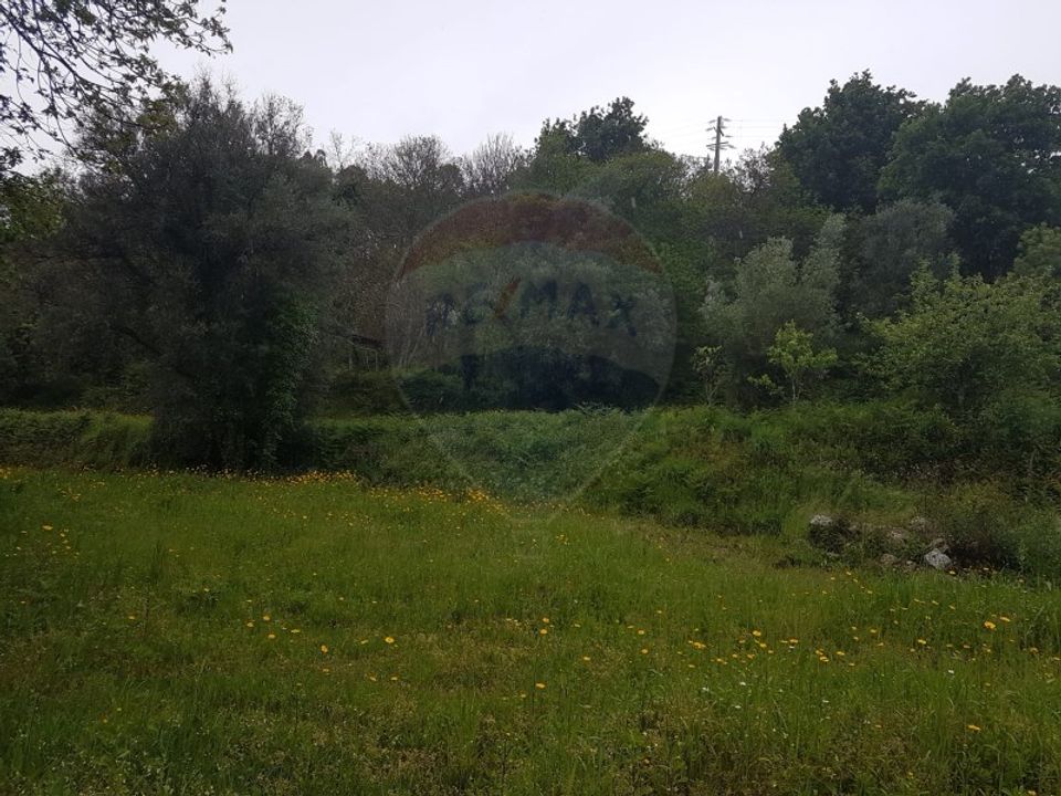 Farm i Arcos de Valdevez, Viana do Castelo - foto 4