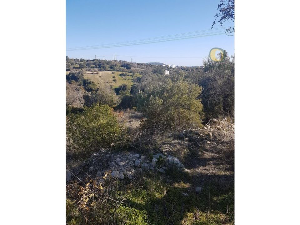 Granja a Loule, Faro - foto 5
