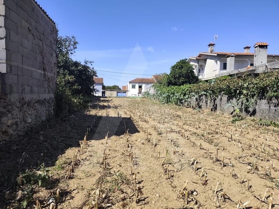 Helårsgrund i Agueda, Aveiro - foto 3