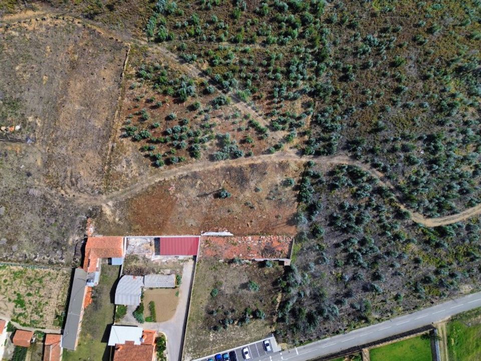 Grond in Branca, Aveiro - foto 4