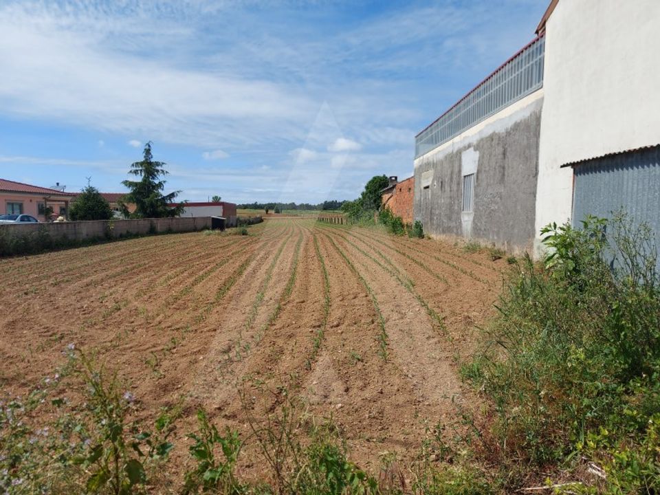 Grond in Branca, Aveiro - foto 4
