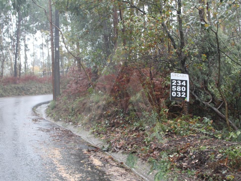 Grundstück in Sever do Vouga, Aveiro - Foto 1