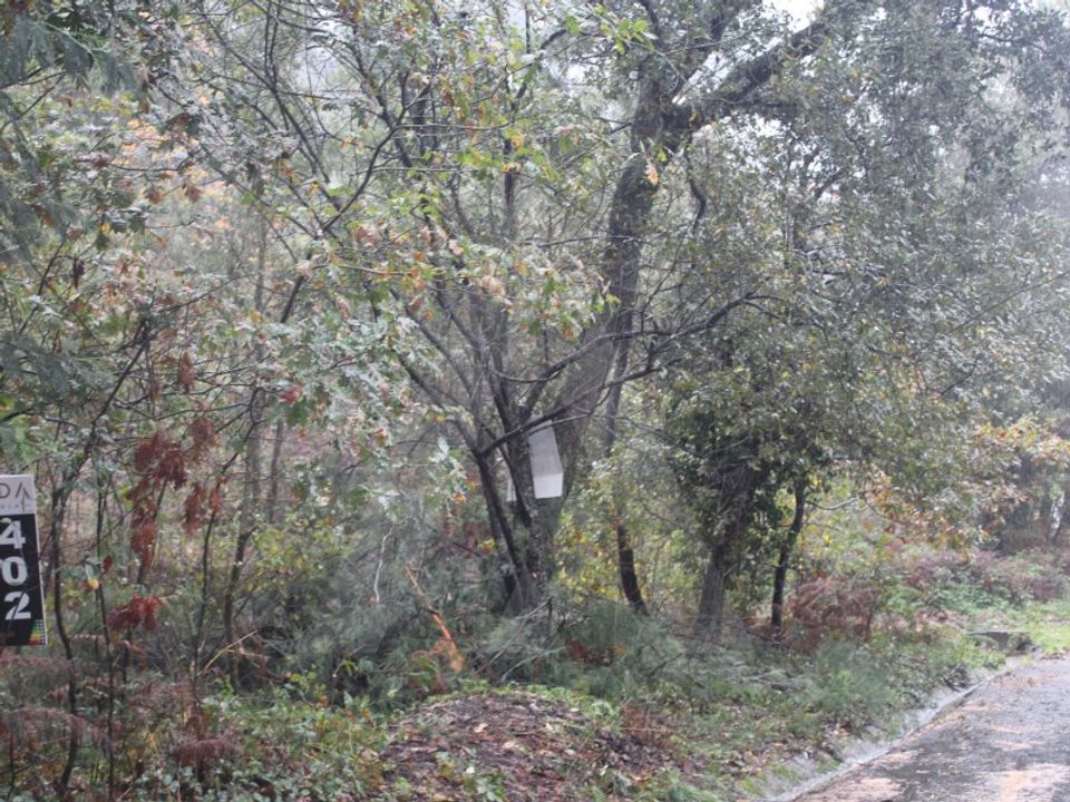 Grundstück in Sever do Vouga, Aveiro - Foto 4