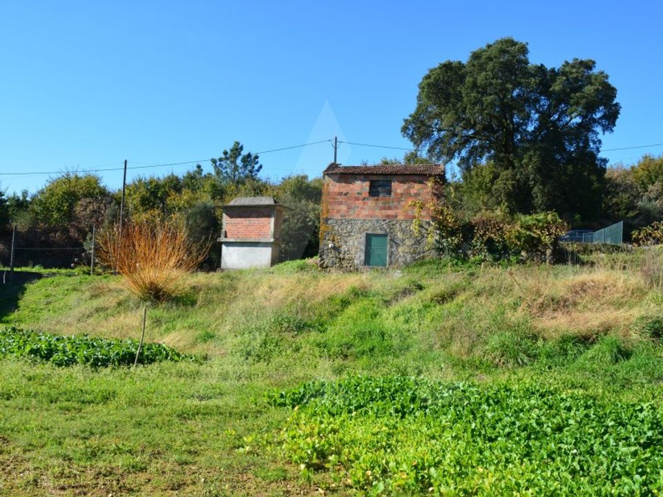 Terra em Sever do Vouga, Aveiro - foto 2
