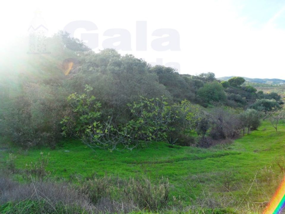 Helårsgrund i Castro Marim, Faro - foto 3
