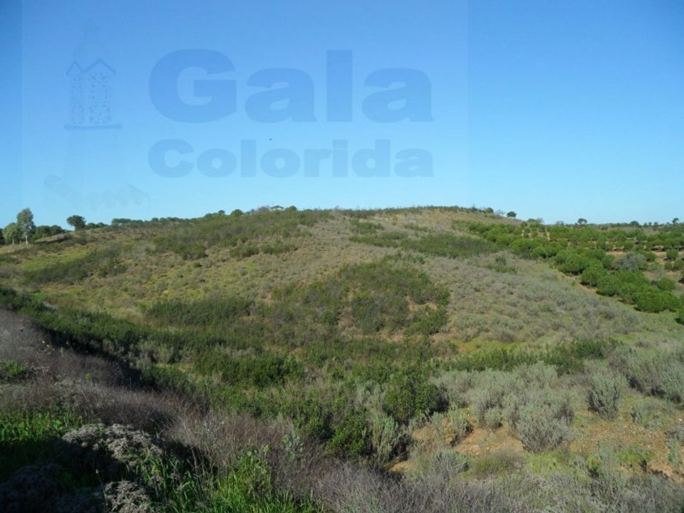 Helårsgrund i Castro Marim, Faro - foto 1