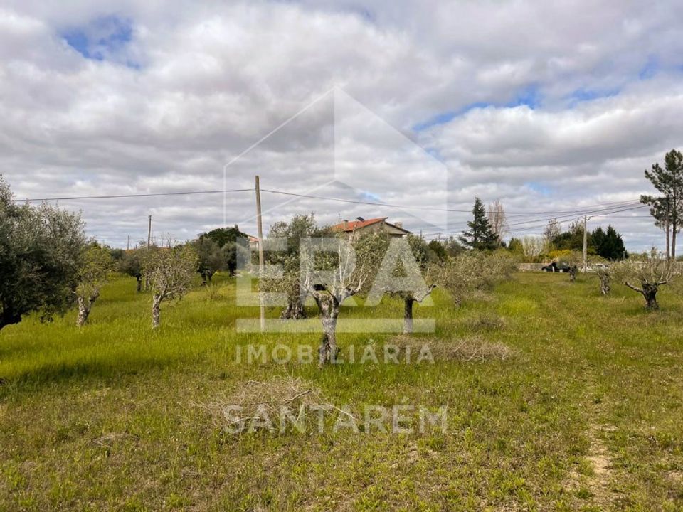 Helårsgrund i Sao Vicente do Paul, Santarem - foto 3