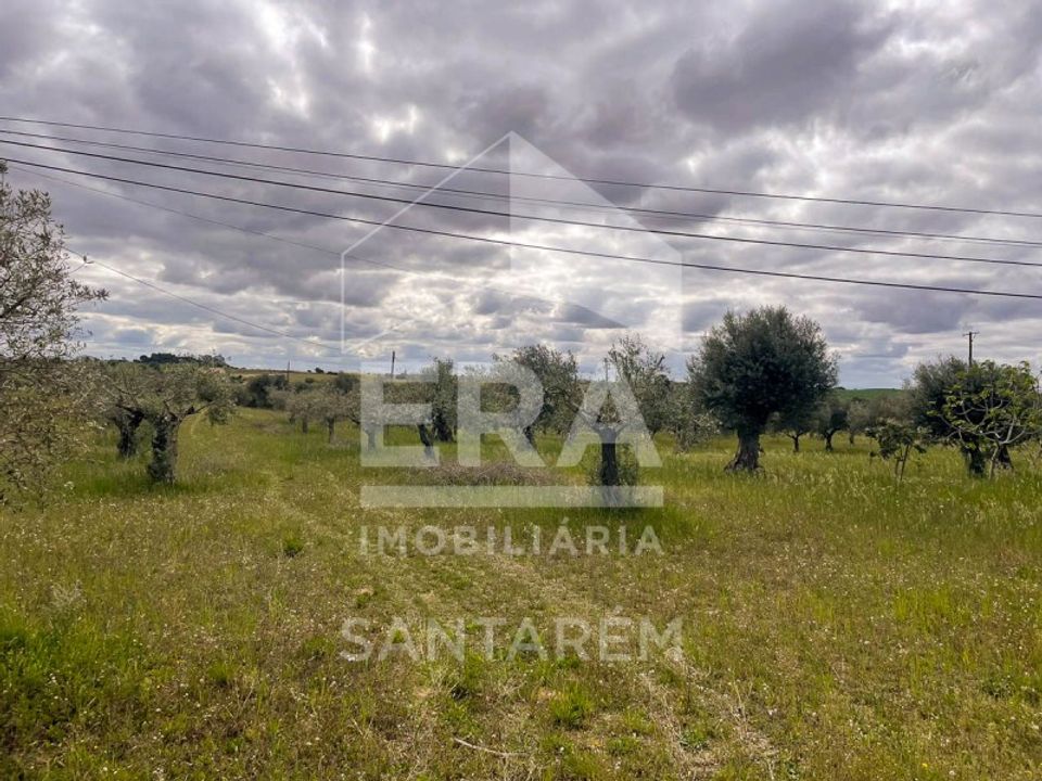 Helårsgrund i Sao Vicente do Paul, Santarem - foto 4