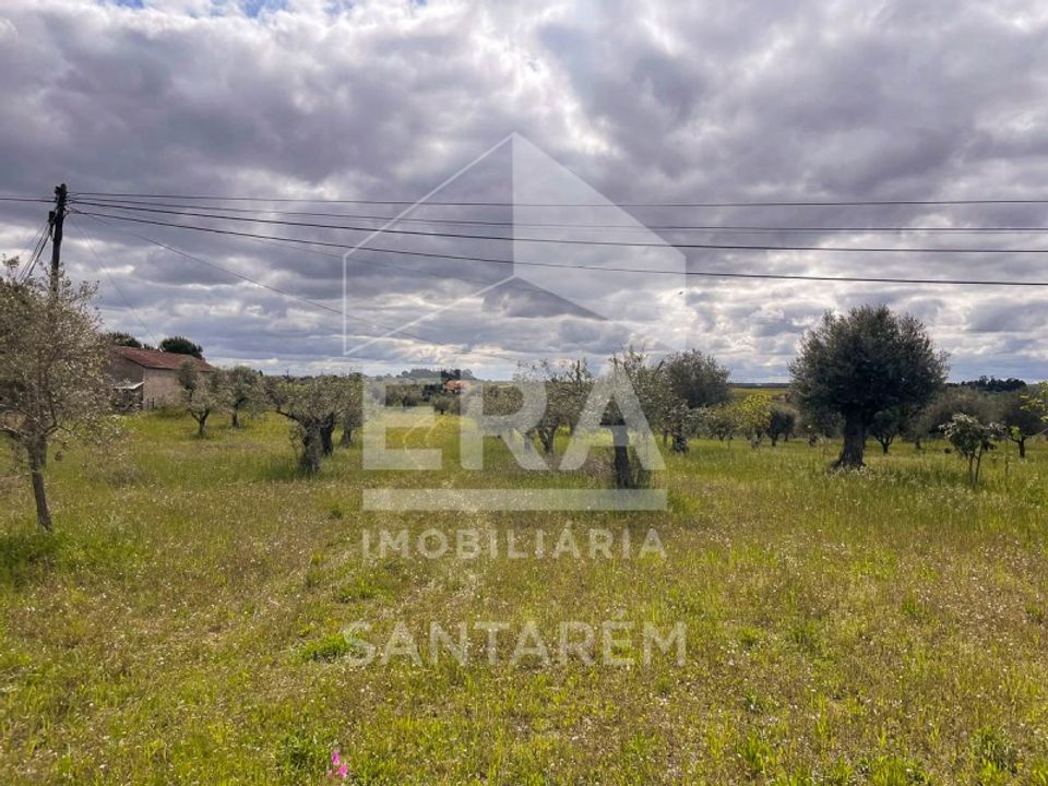 Helårsgrund i Sao Vicente do Paul, Santarem - foto 5
