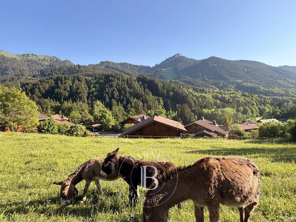 Villa a Bernex, Haute-Savoie - foto 1