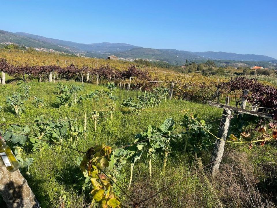 Ruin i Alvaredo, Viana do Castelo - foto 4