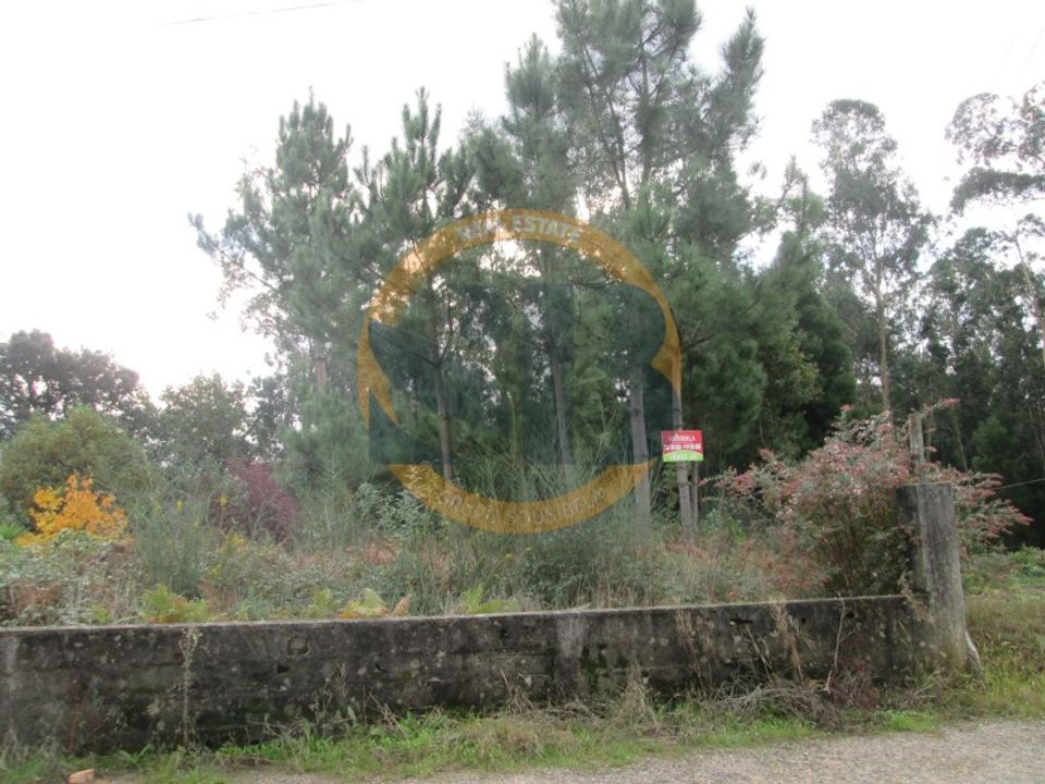 Helårsgrund i Sao Miguel de Souto, Aveiro - foto 3