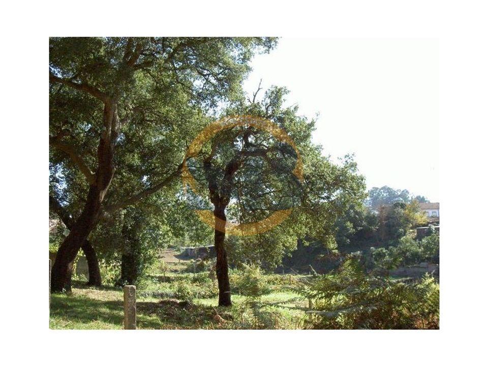 Helårsgrund i Oliveira de Azemeis, Aveiro - foto 1
