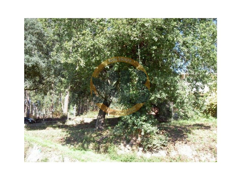 Helårsgrund i Oliveira de Azemeis, Aveiro - foto 2