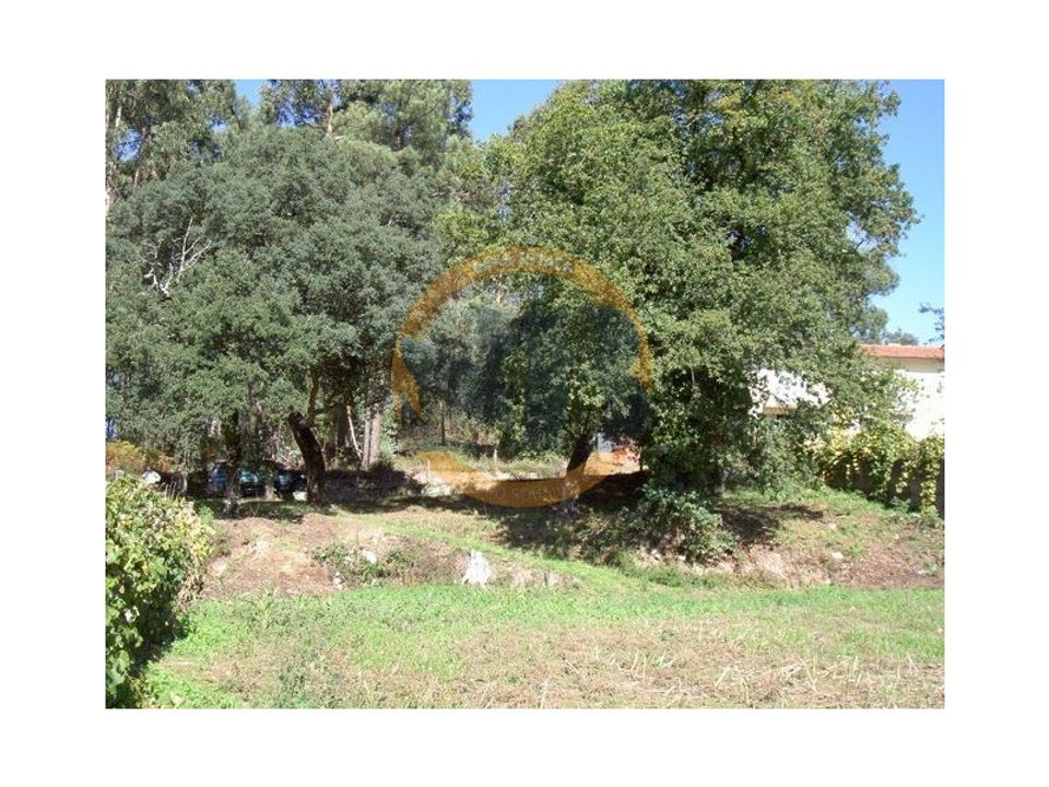 Helårsgrund i Oliveira de Azemeis, Aveiro - foto 3