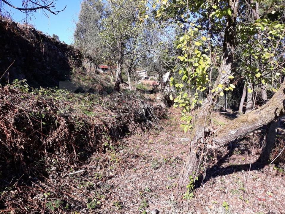 Villa en Venade e Azevedo, Viana do Castelo - foto 4