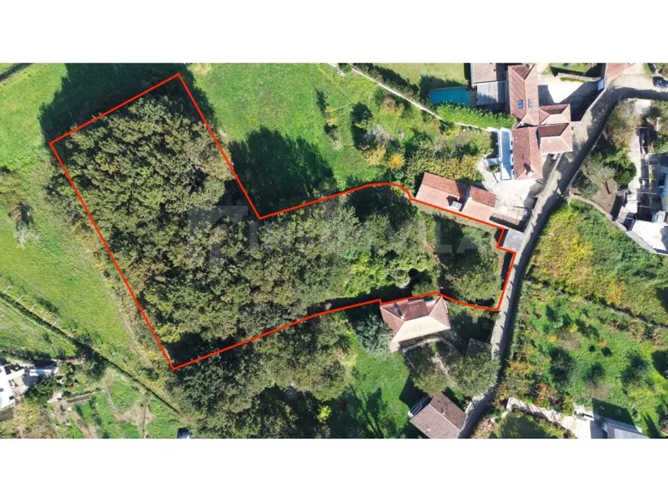Quinta em Venade e Azevedo, Viana do Castelo - foto 2