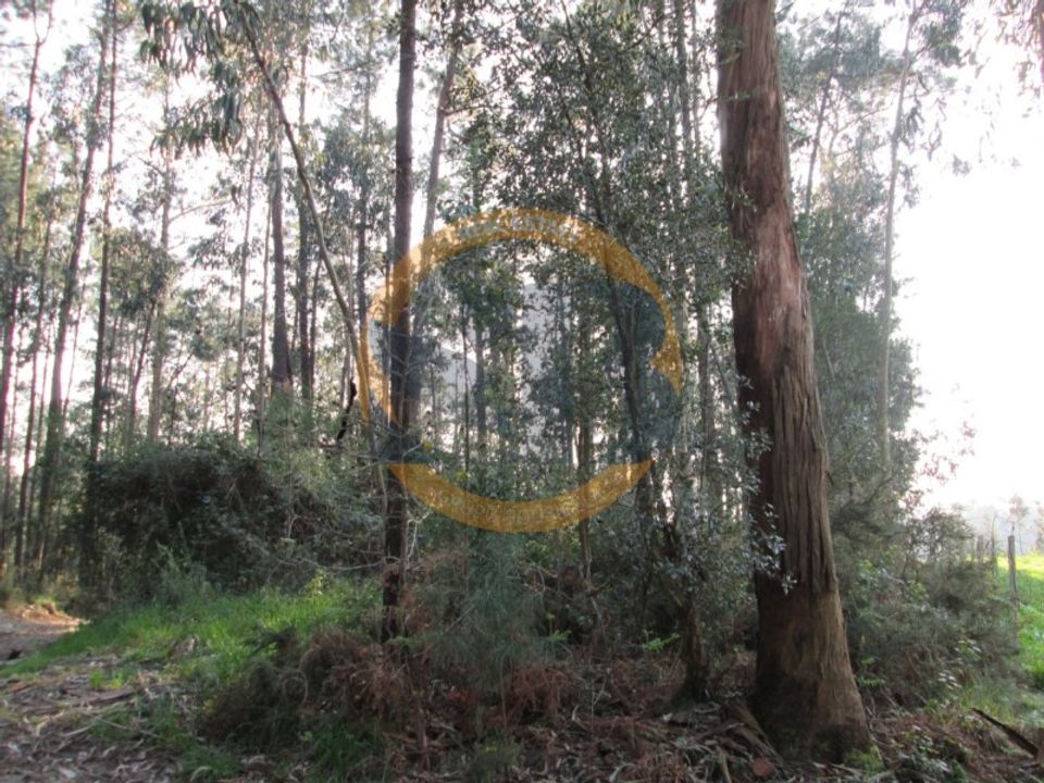 Helårsgrund i Oliveira de Azemeis, Aveiro - foto 1