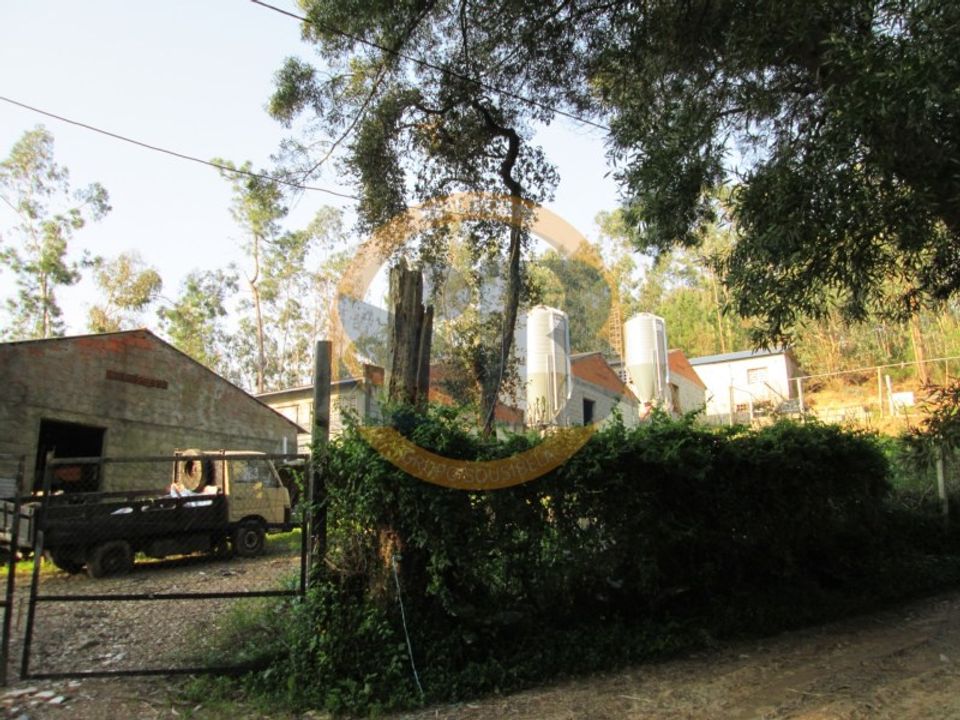 Helårsgrund i Oliveira de Azemeis, Aveiro - foto 2