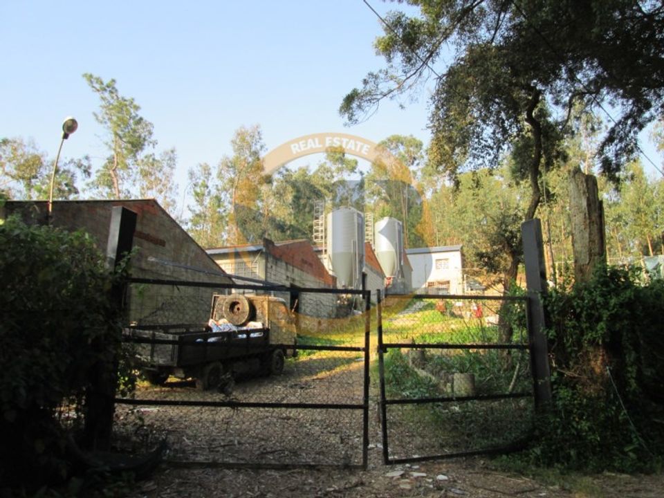 Helårsgrund i Oliveira de Azemeis, Aveiro - foto 4