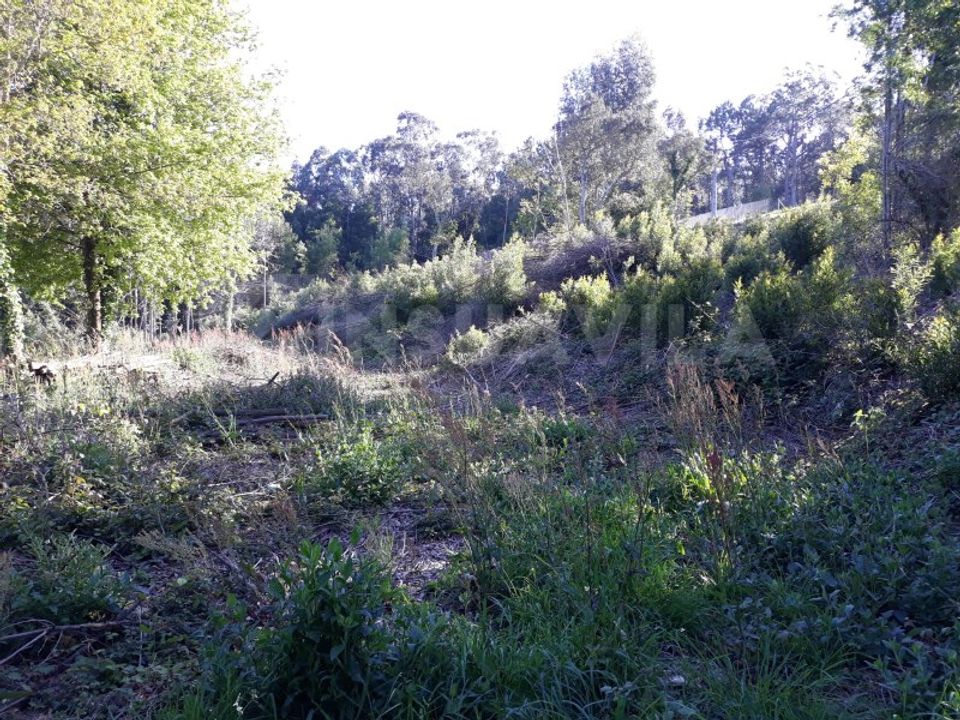 Grond in Venade e Azevedo, Viana do Castelo - foto 1