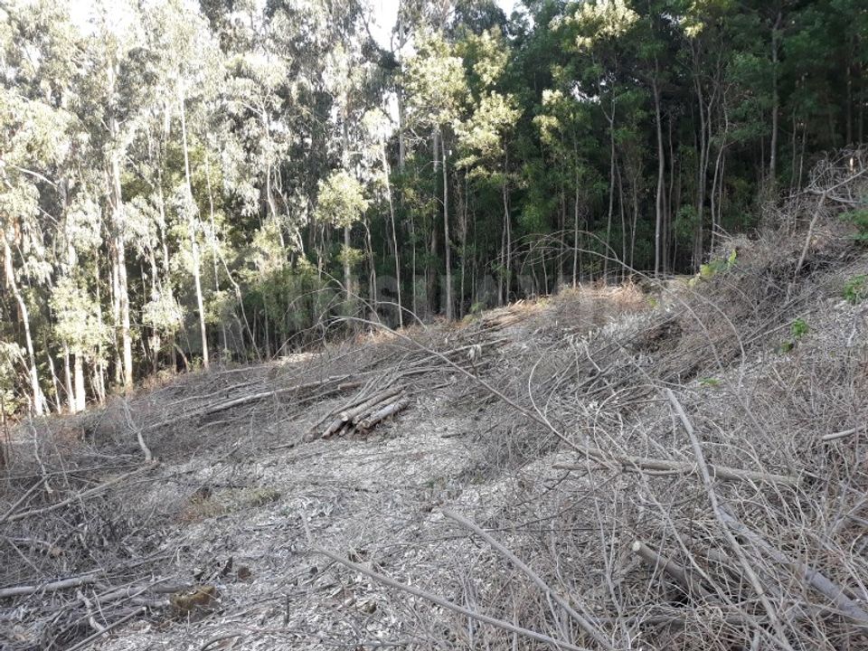 Grond in Venade e Azevedo, Viana do Castelo - foto 5