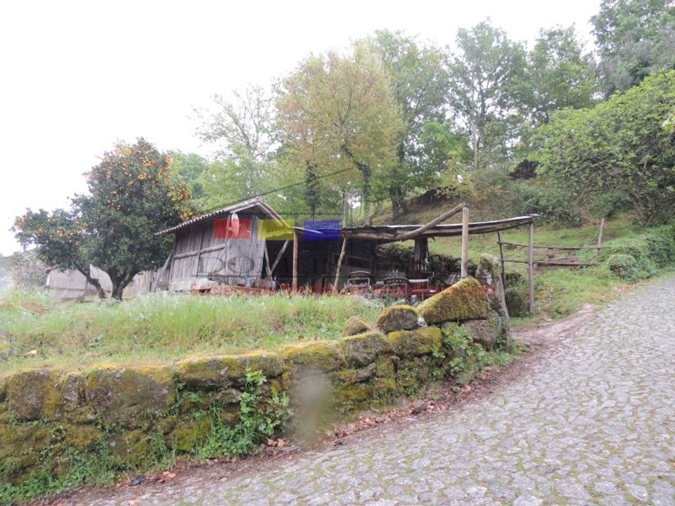 Landejendom i Ribeira de Pena, Vila Real - foto 3