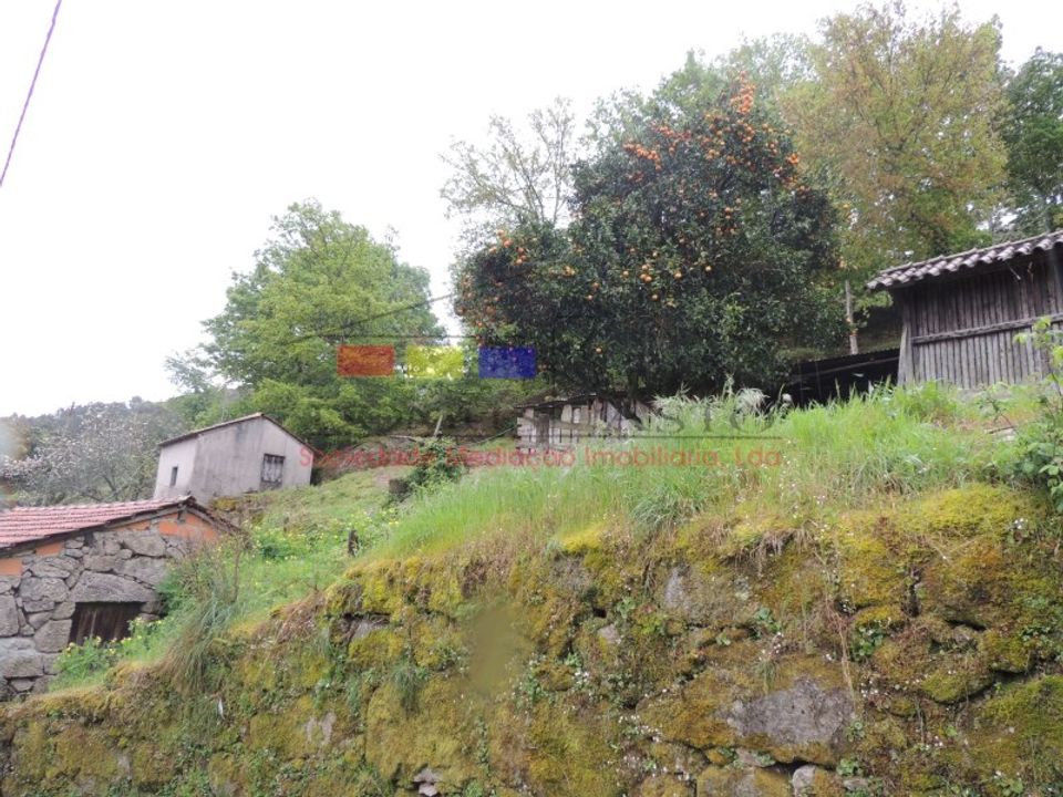Landejendom i Ribeira de Pena, Vila Real - foto 4