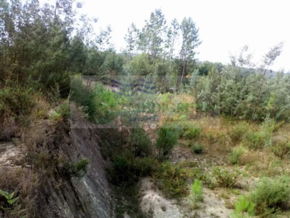 Terra em Sever do Vouga, Aveiro - foto 3