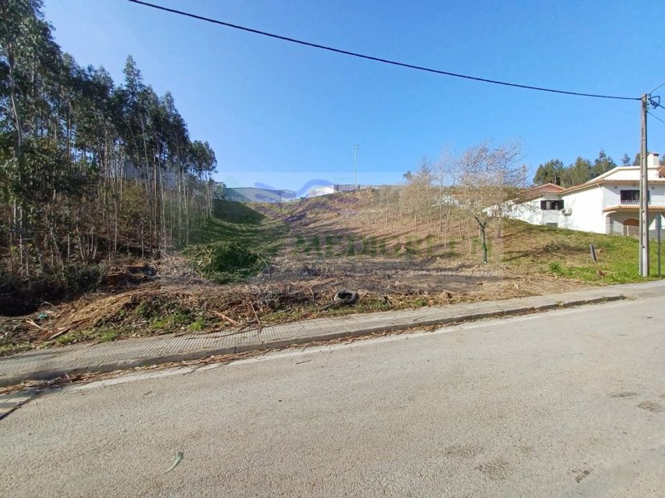 Terra em Sever do Vouga, Aveiro - foto 4