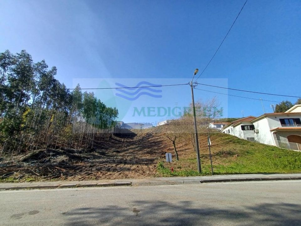 Terra em Sever do Vouga, Aveiro - foto 5