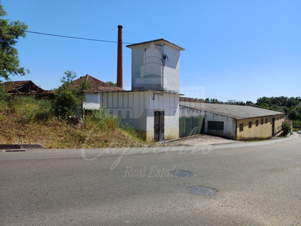 Granja a Santarem, Santarem - foto 3