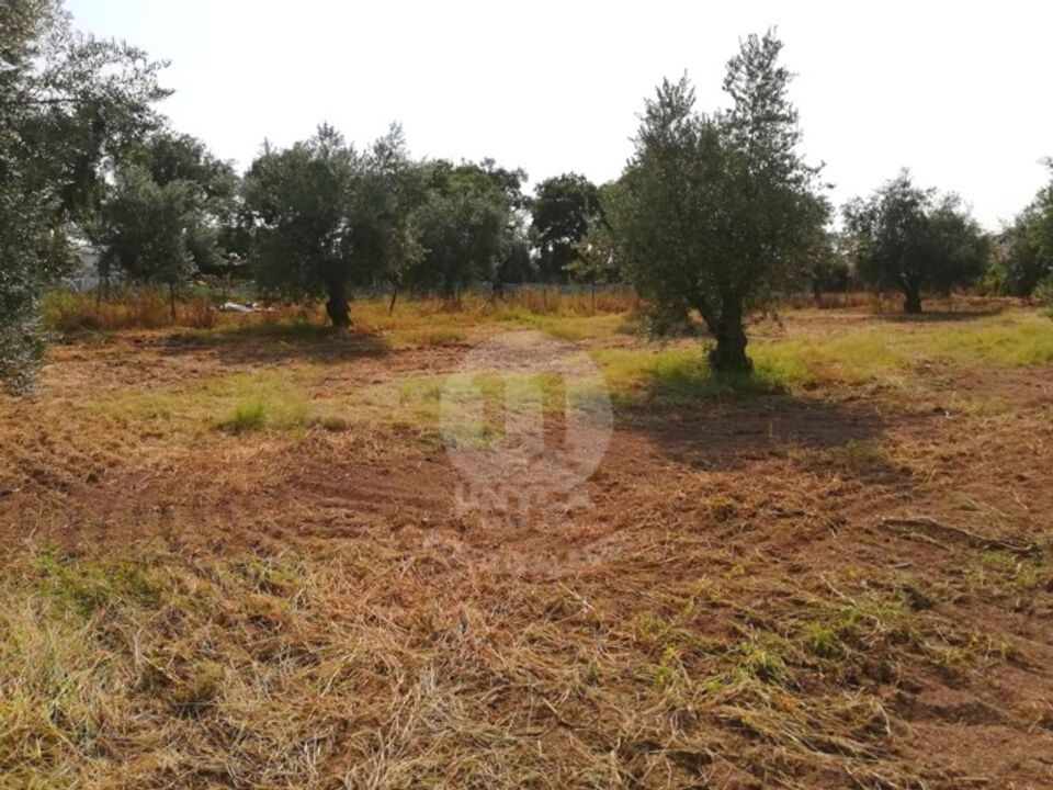 Grond in Alagoa, Portalegre - foto 1