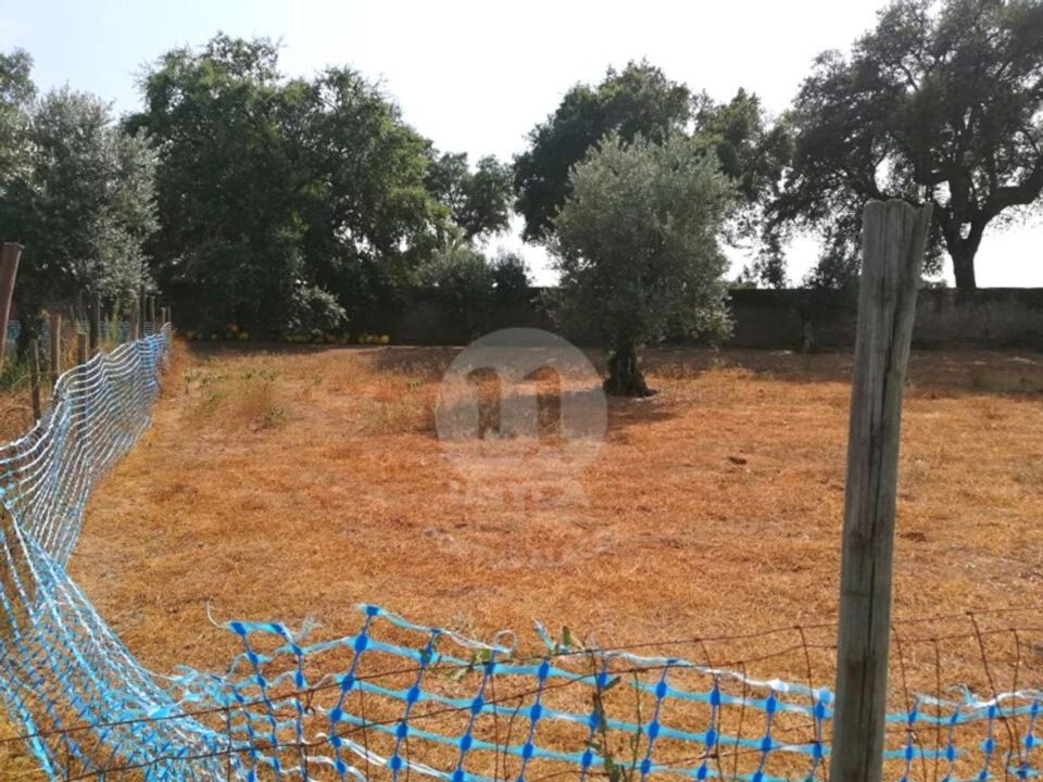 Grond in Alagoa, Portalegre - foto 4