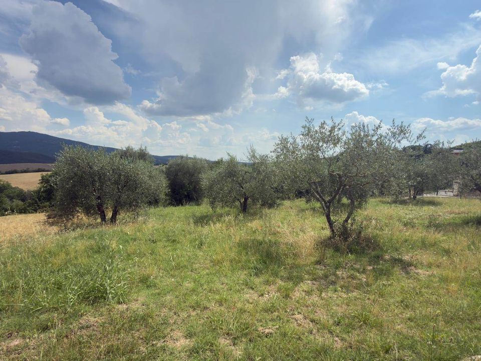 Terra a Panicale, Perugia - foto 1