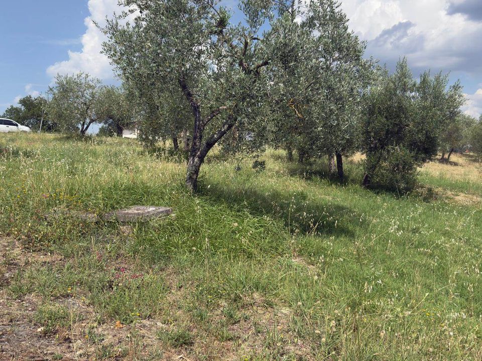 Terra a Panicale, Perugia - foto 2