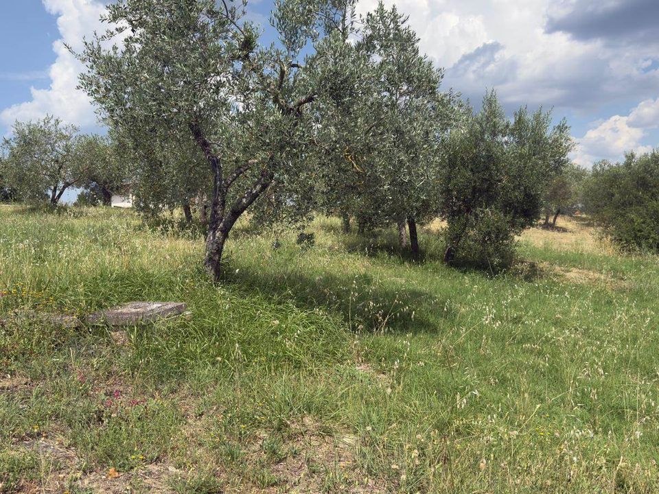 Terra a Panicale, Perugia - foto 3
